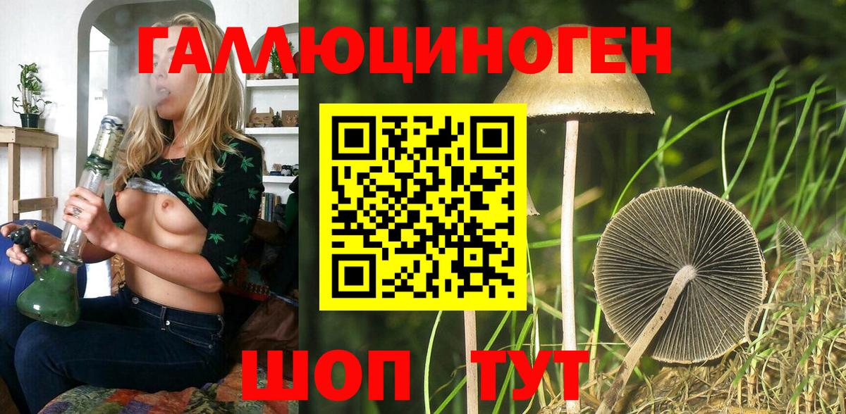 Сыктывкар  Псилоцибиновые грибы ЛСД  Вход с VPN 