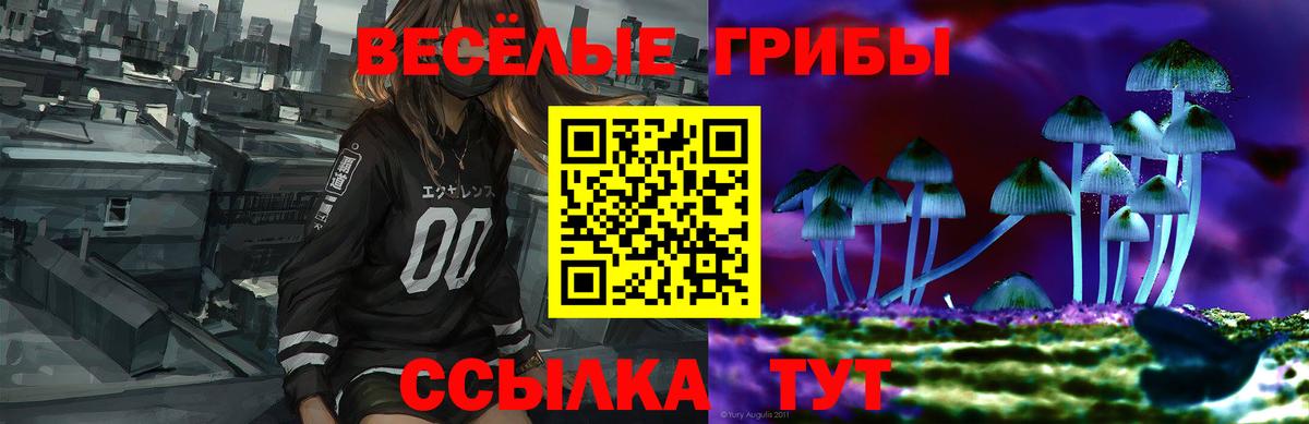 Псилоцибиновые грибы ЛСД Сыктывкар